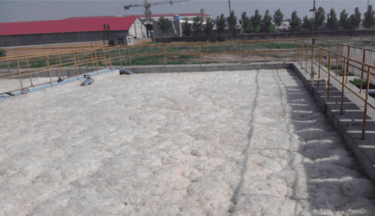 (圖:污水廠泡沫池現(xiàn)場)