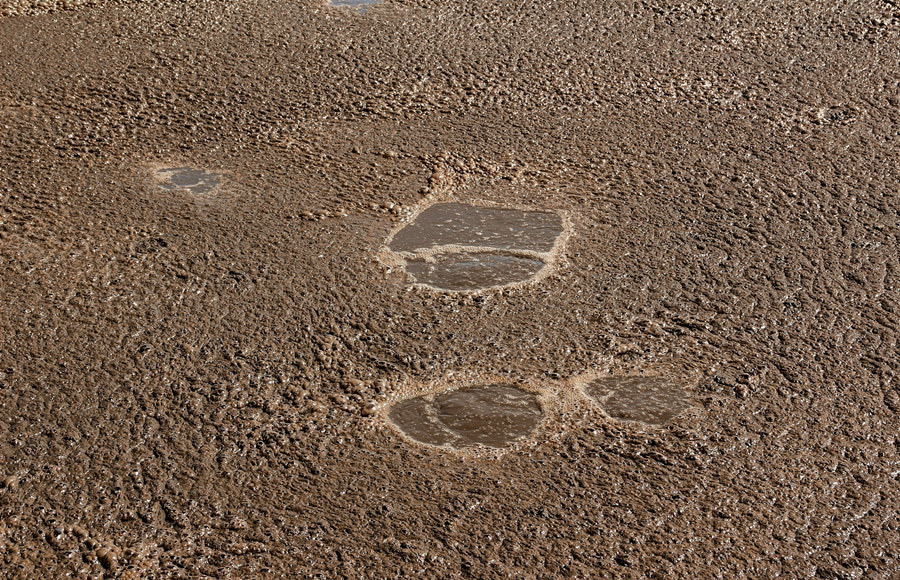 (圖:曝氣池污水泡沫)