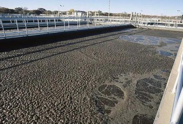 (圖:化糞池污水處理起泡場景)